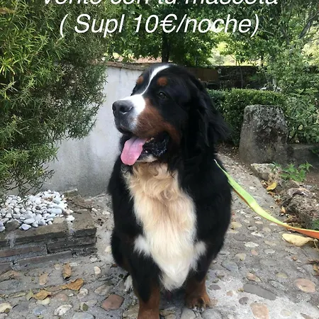 Landhuis Paraje De Yuste