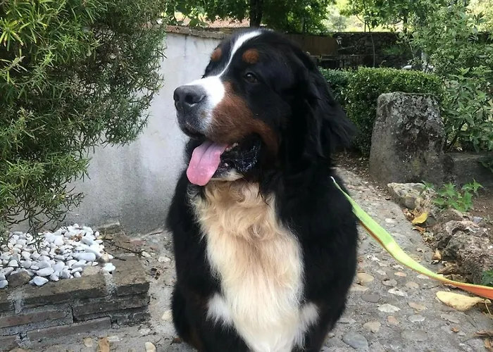 Landhuis Paraje De Yuste